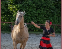 2-13JUIN 0528